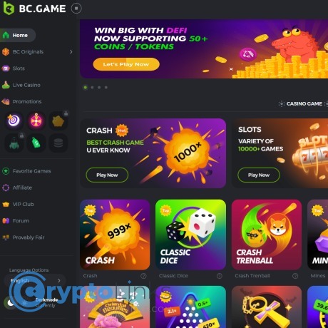 BC.Game Casino Overview Your Guide to an Innovative Gaming Experience