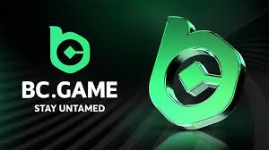 Unlocking Potential with the BC Platform App